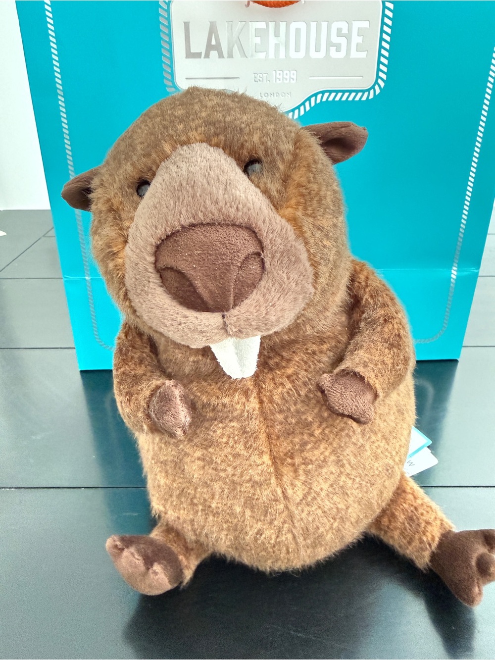 Jellycat Briggs Beaver